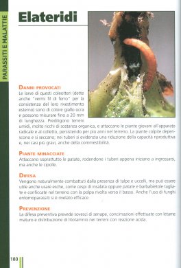 Orto Facile per Tutti — Libro - 5