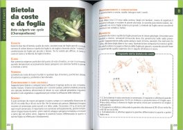 Orto Facile per Tutti — Libro - 3