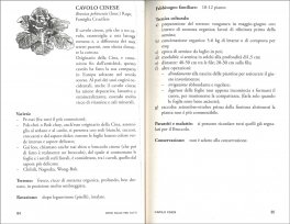 Orto Facile per Tutti — Libro - 3