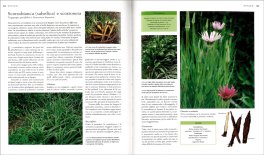 Orto Facile per Tutti — Libro - 3