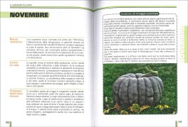 Orto Facile per Tutti — Libro - 3