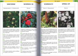 Orto, Frutteto, Giardino — Libro - 3