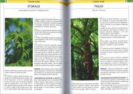 Orto, Frutteto, Giardino — Libro - 5