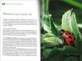 Orto in Vaso in 10 Minuti al Giorno — Libro - 3