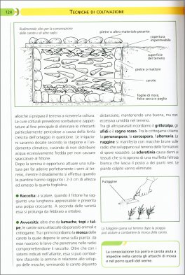 Orto - Manuale Pratico — Libro - 3