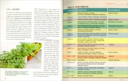 Orto Minimo — Libro - 3