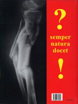 Osteogenesi Riparativa - Strategia dei Movimenti — Libro - 2