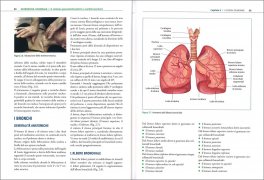 Osteopatia Viscerale: Sistema Pneumofonatorio e Cardiovascolare — Libro - 3