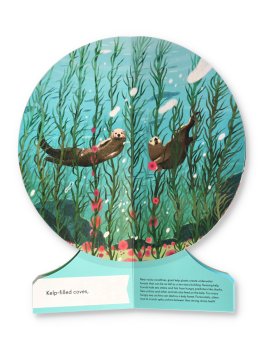 Our Underwater World — Libro - 3