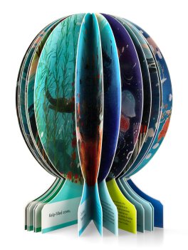 Our Underwater World — Libro - 4