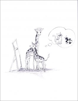 Paco e le Sue Storie — Libro - 3