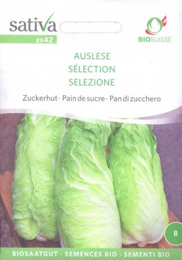 Semi di Pan Di Zucchero Selezione - 1