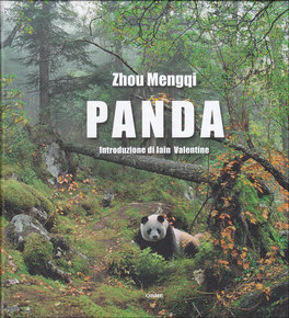 Panda  — Libro - 1