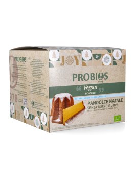 Pandolce di Natale Vegan - 2