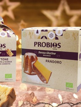 Pandoro senza Glutine Bio - 5