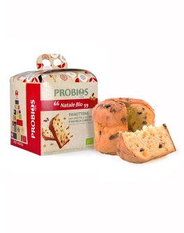 Panettone Classico con Uvetta e Scorza d'Arancia Candita Bio - 1