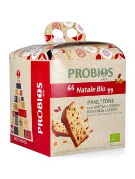 Panettone Classico con Uvetta e Scorza d'Arancia Candita Bio - 2