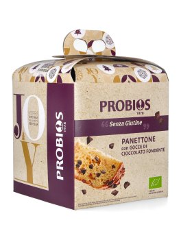 Panettone Senza Glutine con Gocce di Cioccolato - 2