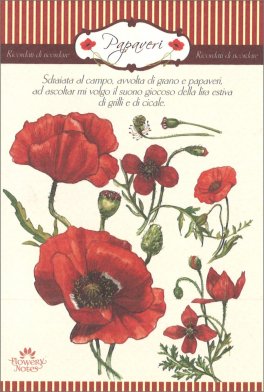 Papaveri - Flowery Notes — Diari e Journaling - 1