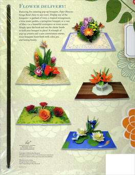 Paper Blossoms  — Libro - 2