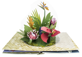 Paper Blossoms  — Libro - 4