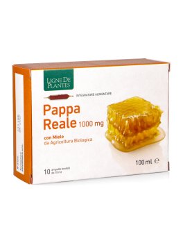 Pappa Reale - Ampolle - 1