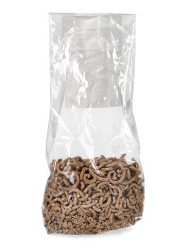 Pasta Gramigna - 2