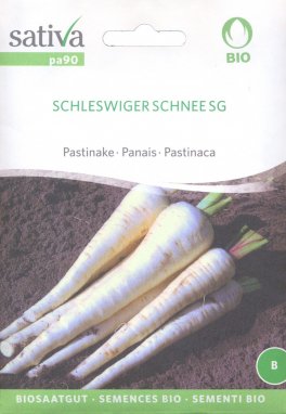 Semi di Pastinaca Schleswiger Schneesg - 1