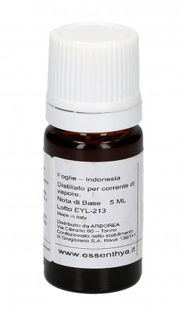 Patchouli Borneo Bio - Olio Essenziale Puro - 3