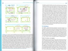 Patologia Vegetale Molecolare — Libro - 3