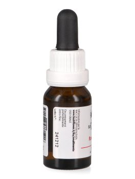 Paw Paw - Essenza Floreale Australiana Singola - 3