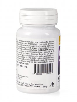 PEA - 3