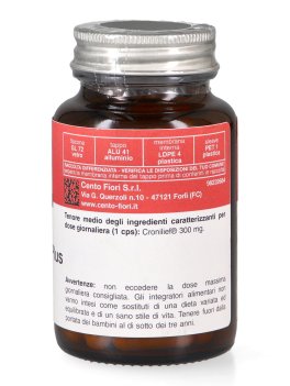 PEA Phyto Plus - Capsule - 2