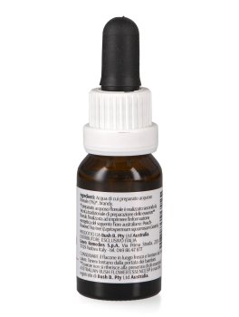 Peach Flowered Tea Tree - Essenza Floreale Australiana Singola - 2