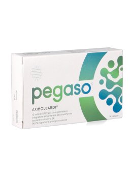 Pegaso® Axiboulardi® - 1