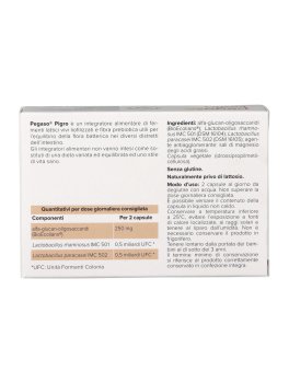 Pegaso® Pigro - 2