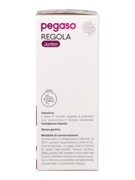 Pegaso® Regola Junior® - 4