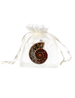 Pendente Spirale - Ammonite - 3