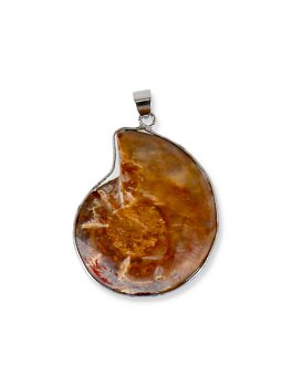 Pendente Spirale - Ammonite - 2