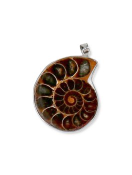 Pendente Spirale - Ammonite - 1