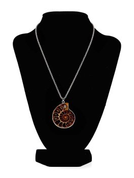 Pendente Spirale - Ammonite - 4