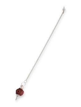 Pendolo Rudraksha - 2