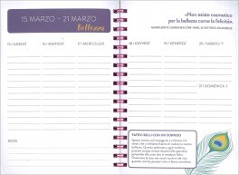 Pensa Positivo Agenda 17