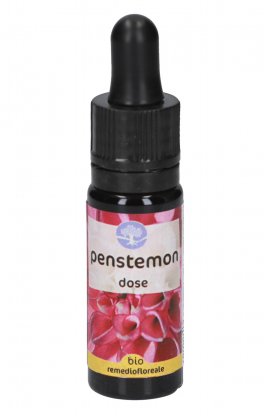 Penstemon - Fiori californiani - Dose - 1