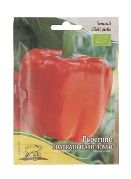 Semi di Peperone Quadrato d'Asti - B525