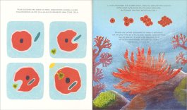 Per Fare un Oceano — Libro - 4