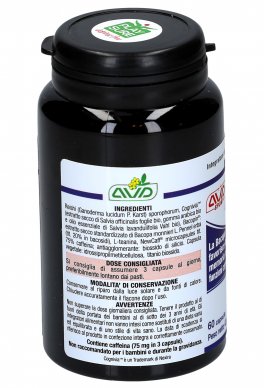 Performance Brain - Integratore di Reishi, Cognivia™ e Bacopin® - 3