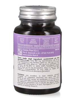 Perlapel - Capsule - 2