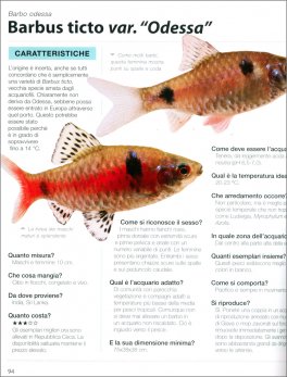 Pesci Tropicali d'Acqua Dolce — Libro - 3