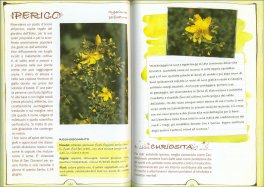 Petali e Rugiada - 1° Petalo le Piante per la Cosmesi — Libro - 3